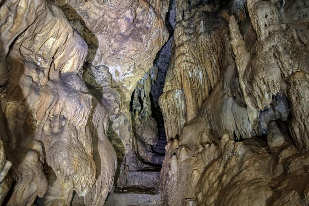 იმერეთში მდებარე ნავენახევის მღვიმეს წელს ყველაზე მეტი ვიზიტორი ყავდა