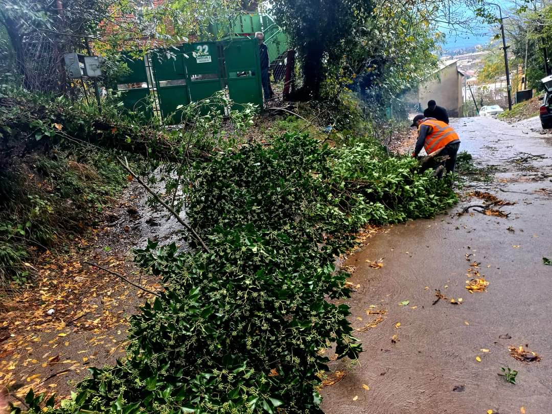 წაქცეული ხეები,დატბორილი ქუჩები და სახლები-ძლიერი წვიმა ქუთაისში