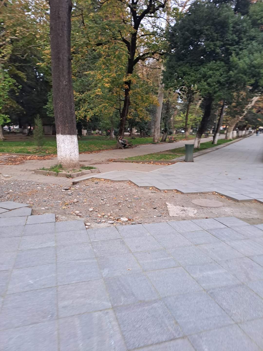 FB IMG 1668612839007