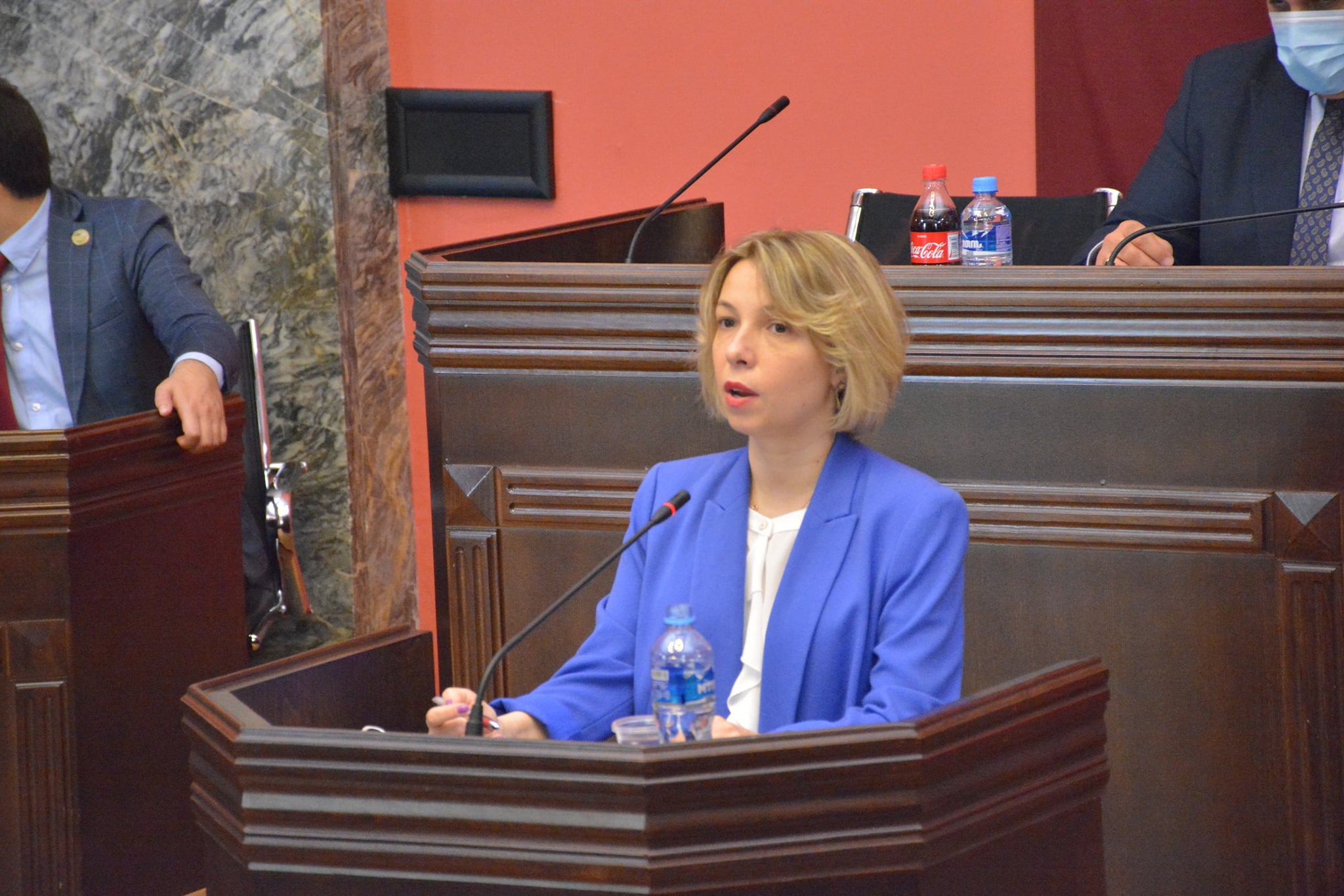 სახალხო დამცველმა ,,ნამახვანჰესის,, შესახებ წლიური ანგარიშის ფარგლებში ისაუბრა