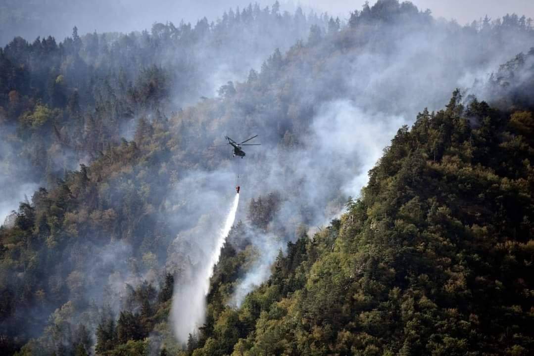 28-მდე ძლიერი ქარია მოსალოდნელი,არ დატოვოთ ცეცხლის კერები უყურადღებოდ-შსს