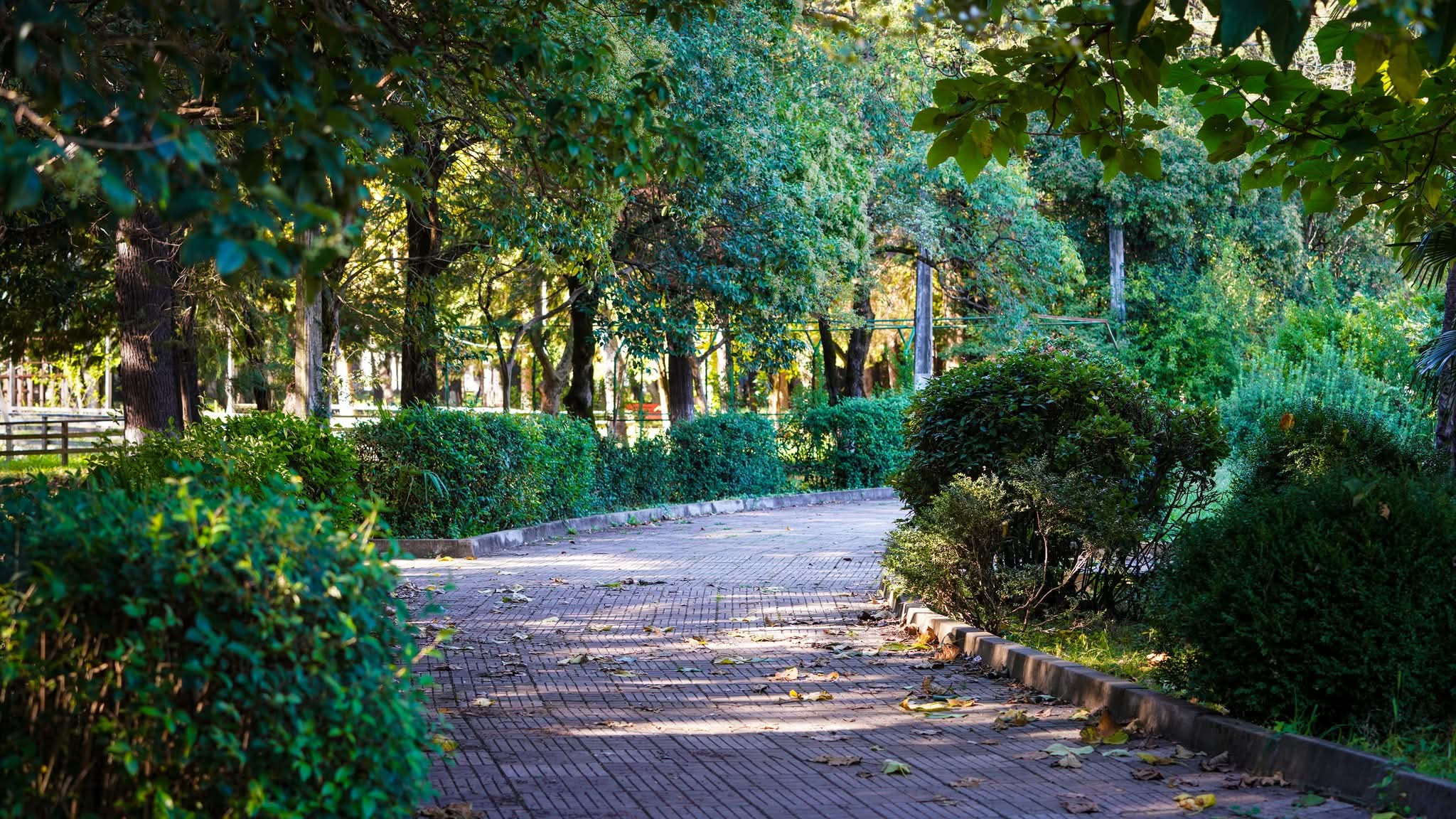 ქუთაისში საჯარო ბიბლიოთეკისა და მოსწავლე ახალგაზრდობის პარკის რეაბილიტაცია იწყება