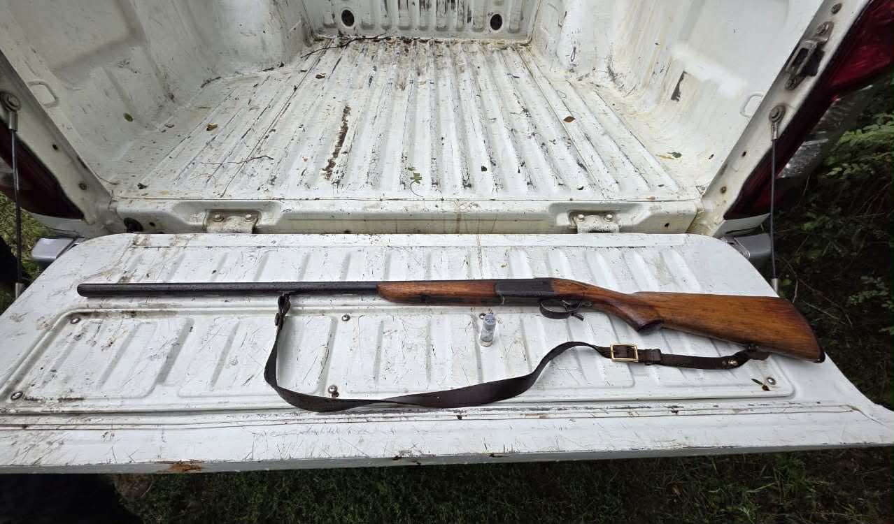 იმერეთში უკანონო ნადირობის 77 ფაქტი გამოავლინეს 