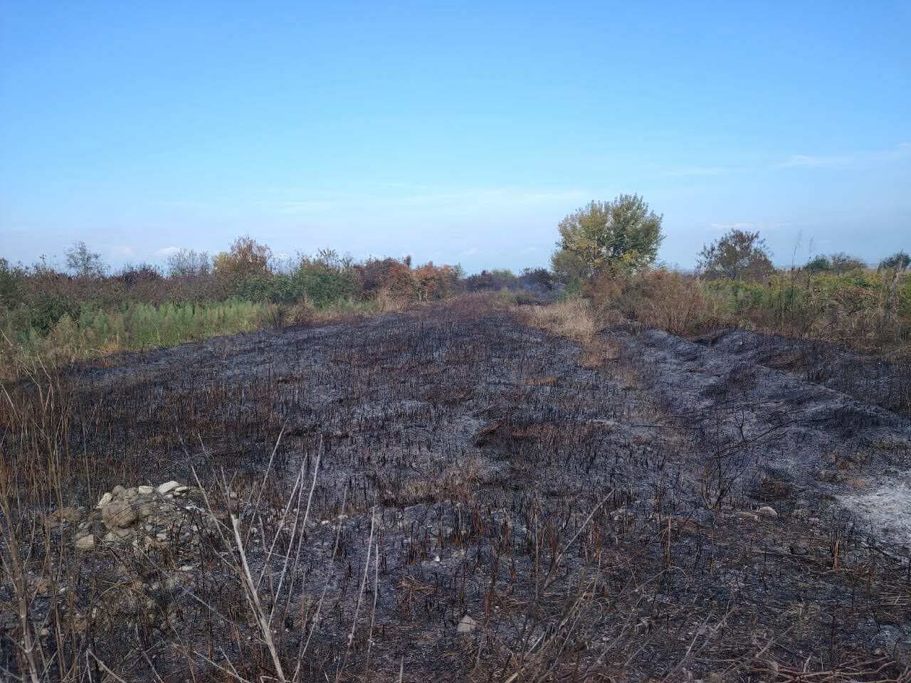 იმერეთში ნარჩენების მართვის კოდექსის დარღვევის 70 ფაქტი გამოვლინდა 