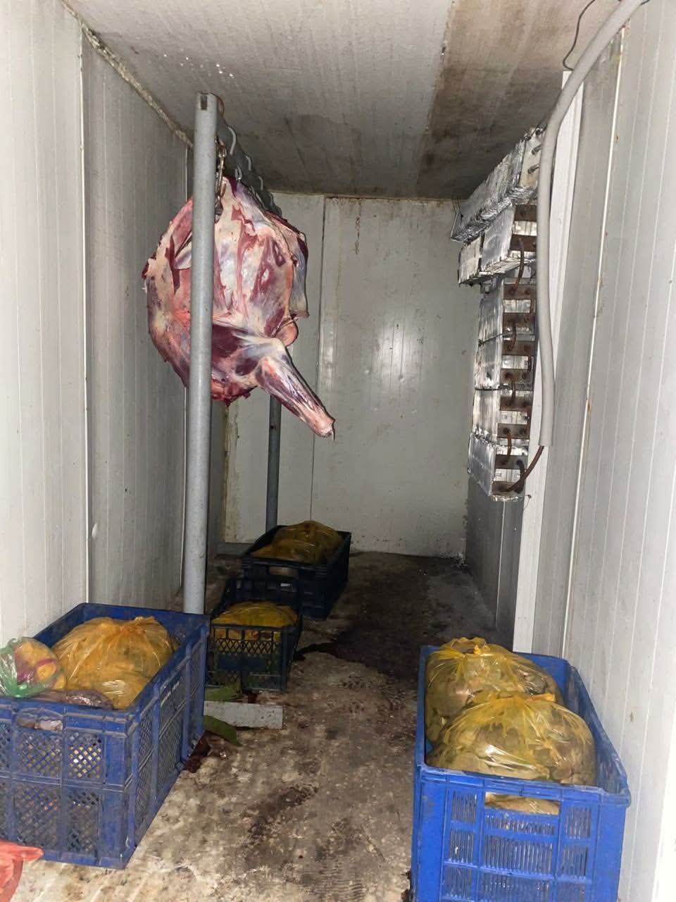 ზესტაფონსა და ვანში არალეგალური სასაკლაოები გამოვლინდა 