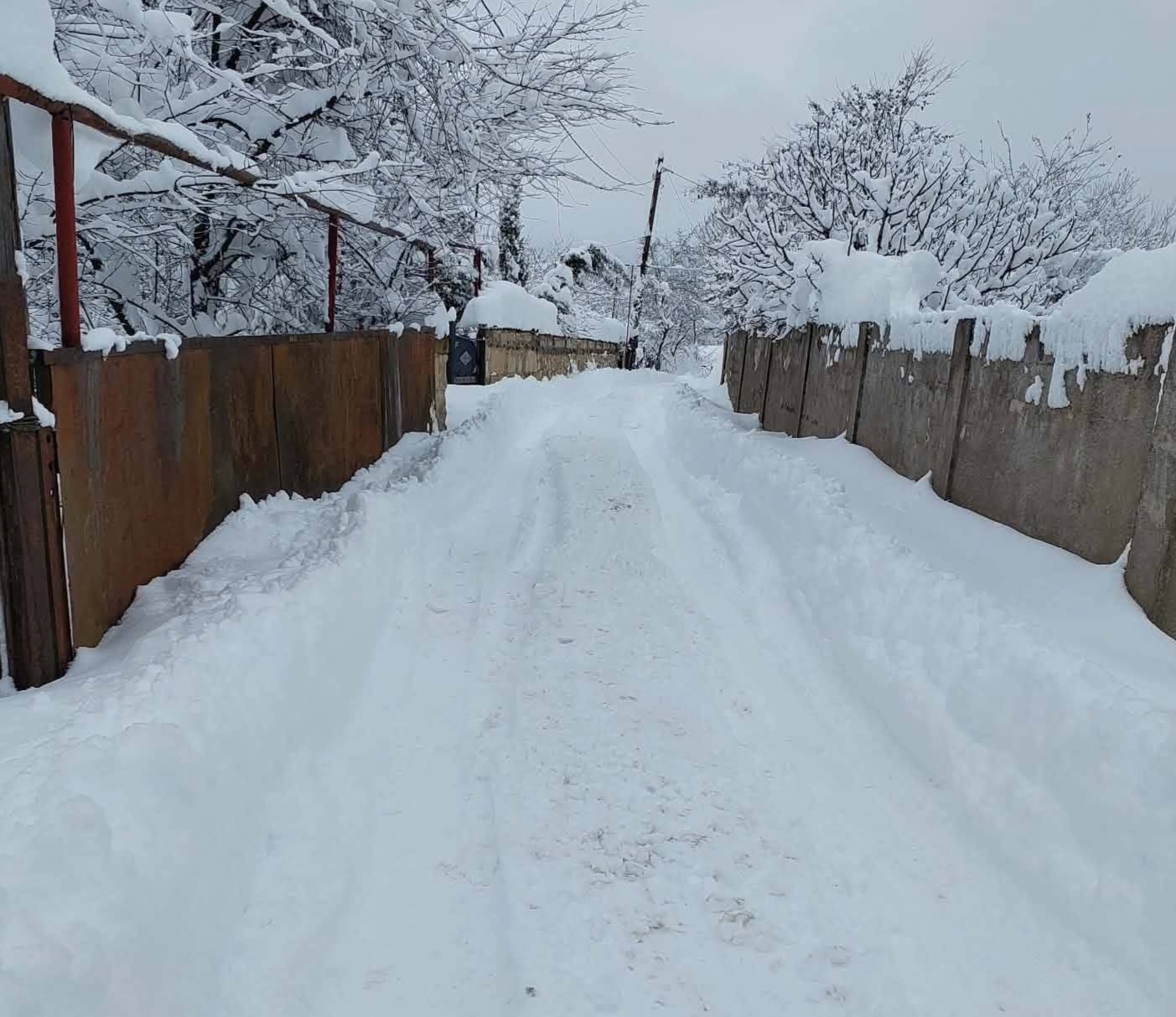 ხვალიდან ისევ მოთოვს-როდემდე გაგრძელდება უამინდობა?