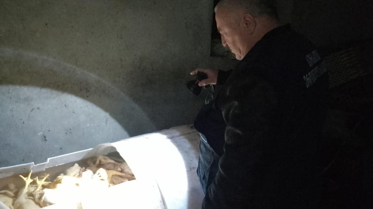 საჩხერეში ფრინველის არალეგალური სასაკლაო გამოავლინეს 