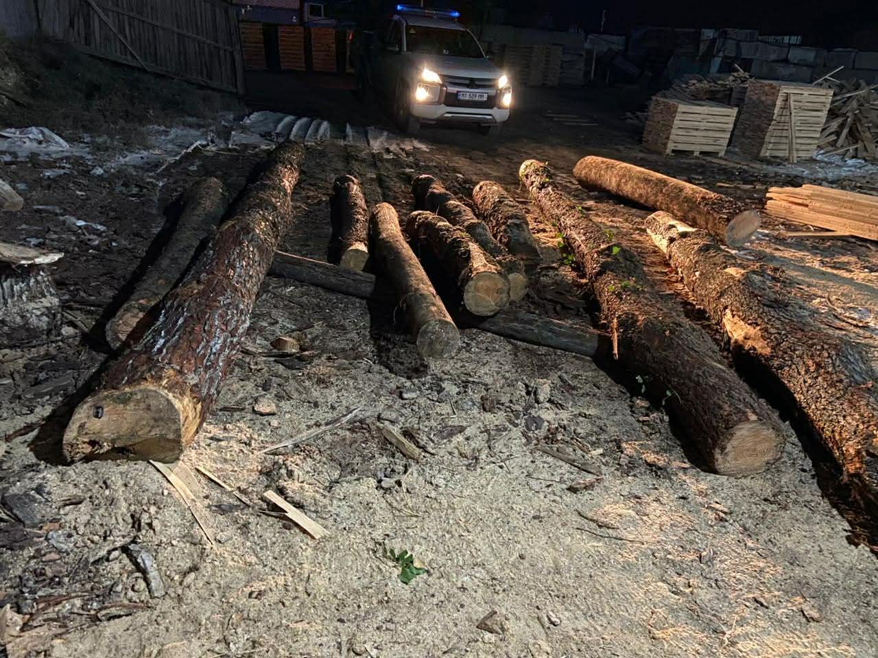 იმერეთში უკანონო ტყითსარგებლობის 10 ფაქტი გამოვლინდა-იანვრის სტატისტიკა