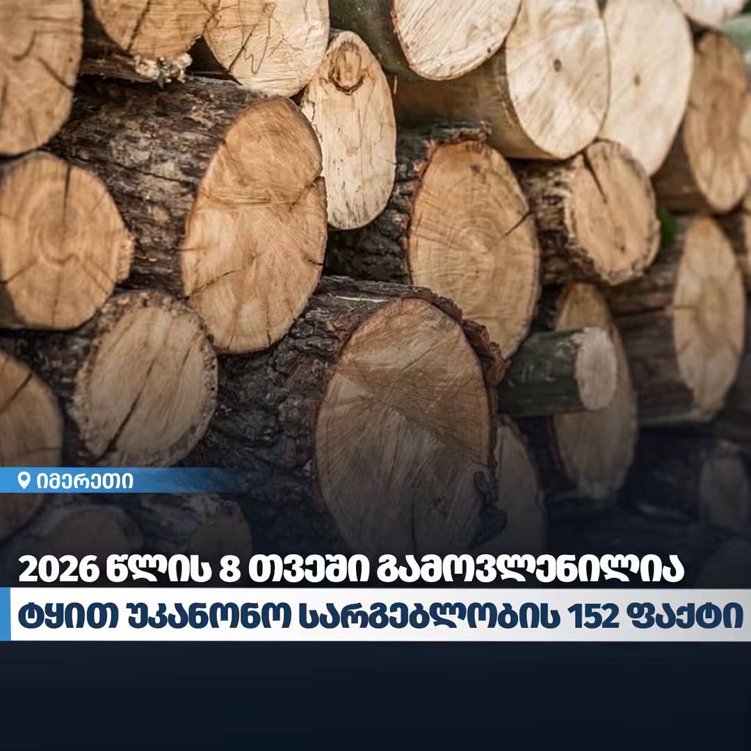 უკანონო ტყითსარგებლობის 152 ფაქტი იმერეთში-8 თვის სტატისტიკა