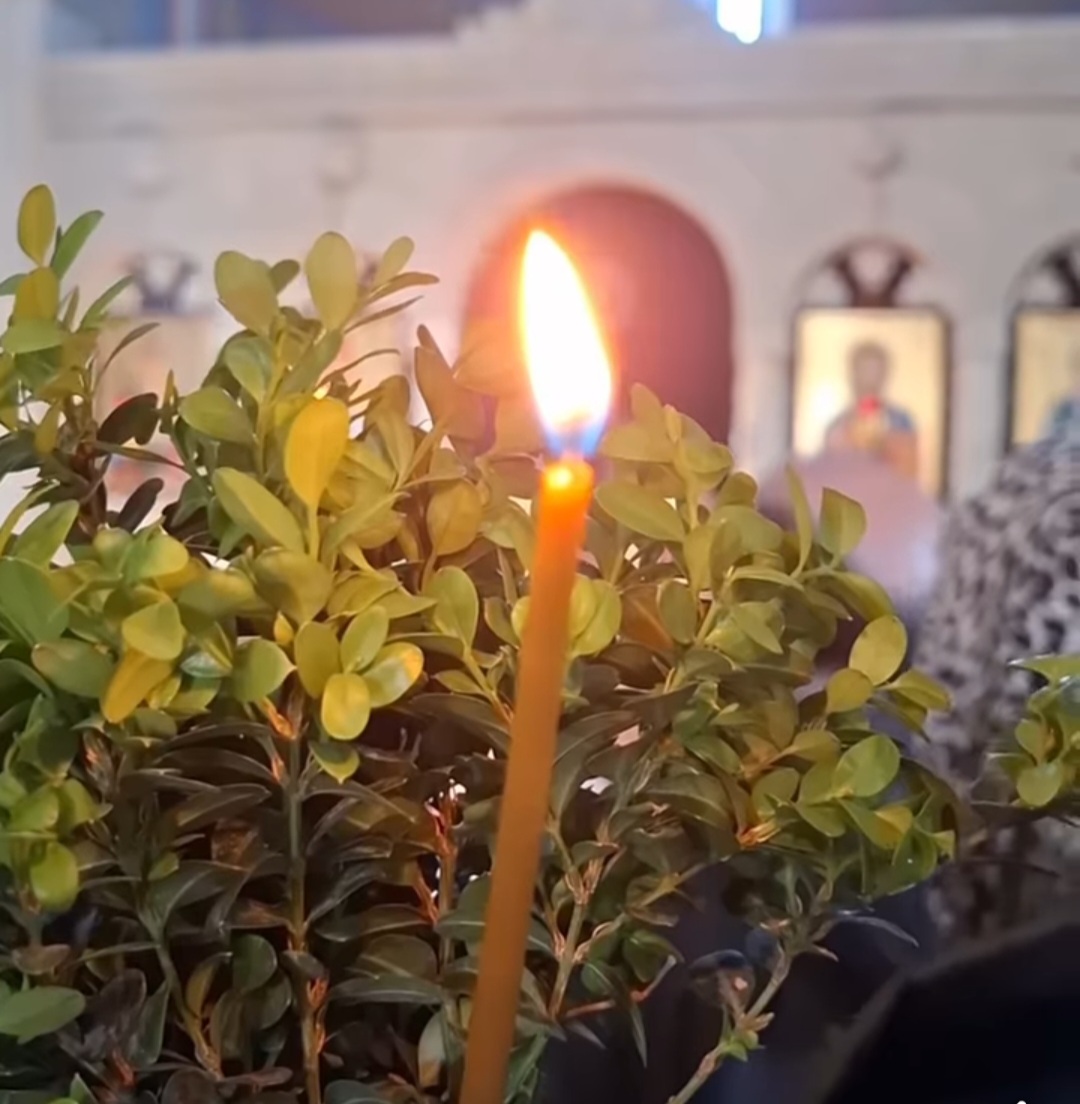დღეს ბზობის დღესასწაული აღინიშნება 