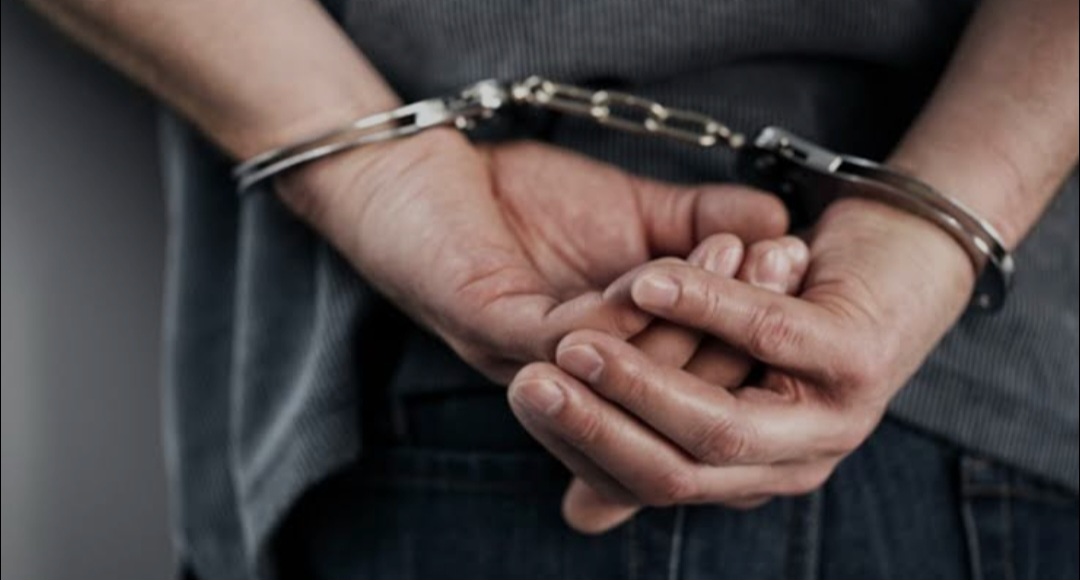 არასრულწლოვნის გამოსახულების შემცველი პორნოგრაფიული ნაწარმოების შეძენა- შენახვა-ფლობის და გავრცელების ბრალდებით ერთი პირი დააკავეს 