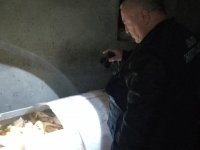 საჩხერეში ფრინველის არალეგალური სასაკლაო გამოავლინეს 