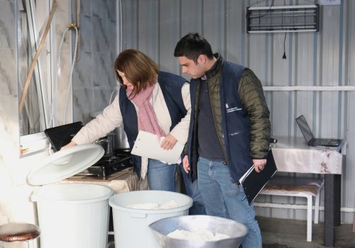 სამტრედიაში ყველის არალეგალური საწარმოები გამოავლინეს 