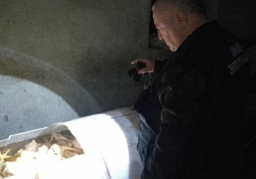 საჩხერეში ფრინველის არალეგალური სასაკლაო გამოავლინეს 