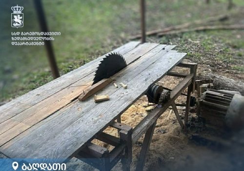 ზესტაფონისა და ბაღდათის მუნიციპალიტეტებში უკანონო სახერხი საამქროები გამოვლინდა