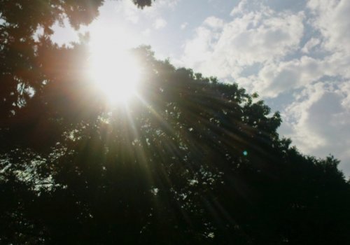 8 თებერვლამდე დასავლეთ საქართველოში თბილი,ქარიანი ამინდი იქნება